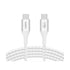 https://doto.vteximg.com.br/arquivos/ids/324021/belkin-cable-240w-blanco-dotomexico-vista-frontal.jpg?v=638364446526270000