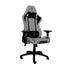 https://doto.vteximg.com.br/arquivos/ids/289599/br-silla-thunder-2-gamer-gris-dotomexico-vista-dinamica.jpg?v=638206414841100000