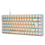 https://doto-public-app-files.s3.us-east-1.amazonaws.com/canva-image-003-01M5WTE9MW767G1C57DKWEBKGS.png