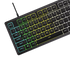 https://doto-public-app-files.s3.us-east-1.amazonaws.com/canva-image-003-01M5WTNE6M5PE27M6593T9C0AE.png