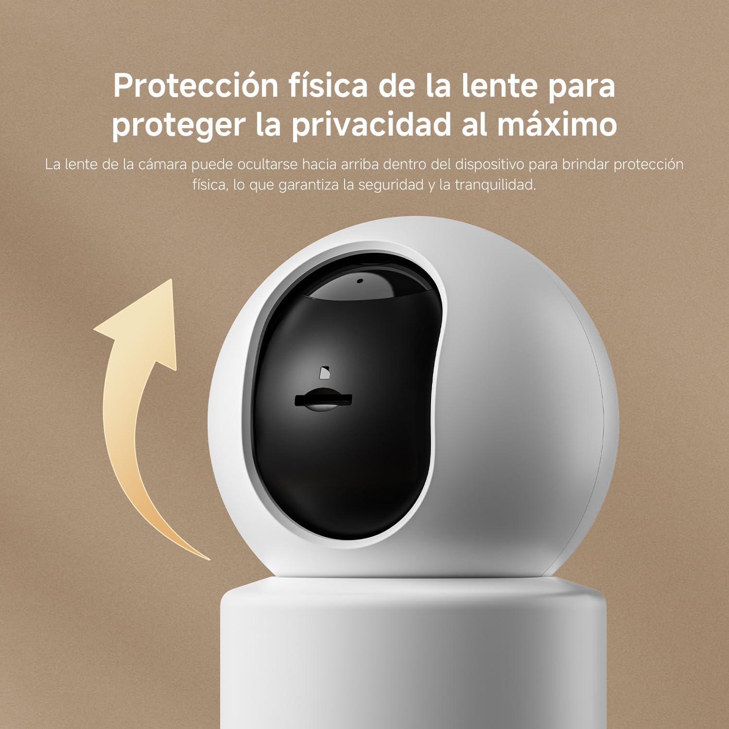 https://doto-public-app-files.s3.us-east-1.amazonaws.com/products/bff/dt6932554469870_2_6a552fcc2efdd.jpg