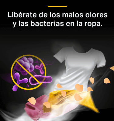 https://doto.vteximg.com.br/arquivos/ids/379827/image-9e06c0125c1448acaeaff29c8e3fcea4.jpg?v=639089342903230000