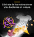 https://doto.vteximg.com.br/arquivos/ids/379827/image-9e06c0125c1448acaeaff29c8e3fcea4.jpg?v=639089342903230000