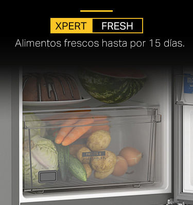 https://doto.vteximg.com.br/arquivos/ids/380102/image-d06dd69573e24a3b90a7b9c17da753fc.jpg?v=639089343452330000