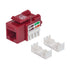 https://doto.vteximg.com.br/arquivos/ids/259038/intellinet-adaptador-jack-rj45-cat5e-dotomexico-vista-dinamica.jpg?v=638084513691170000