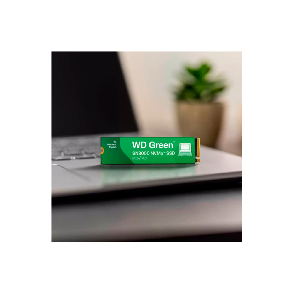 https://doto-public-app-files.s3.us-east-1.amazonaws.com/products/bff/wds500g4g0e_3_6a87738c8c197.png