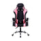 https://doto.vteximg.com.br/arquivos/ids/293690/xzeal-silla-gamer-ergonomica-xz05-rosa-dotomexico-vista-frontal.jpg?v=638230662050670000